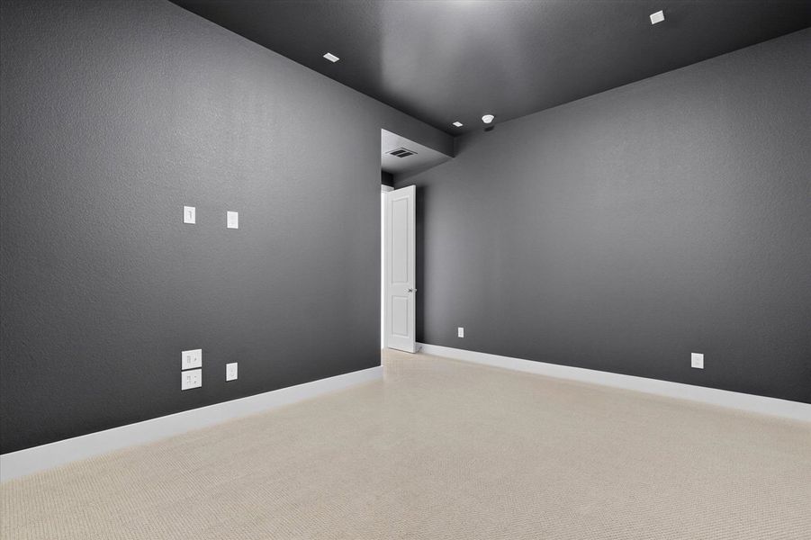 Entertainment Room