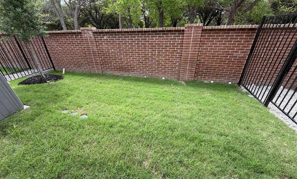Backyard Construction Progress