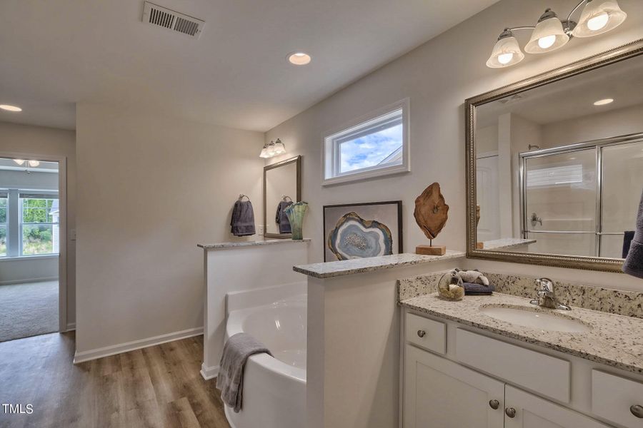 Owners Suite Bathroom | Stock Photo