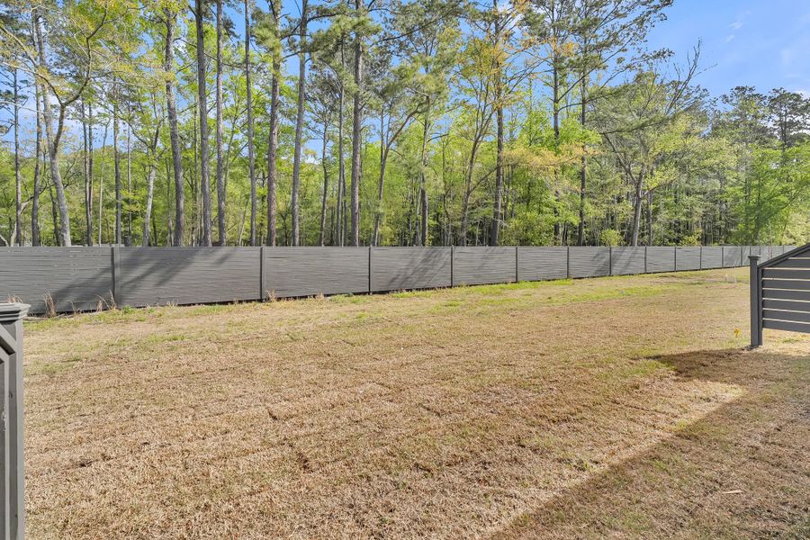 Exterior details and patio area of a home in Hammock Walk at Nexton, Summerville (Image 3).