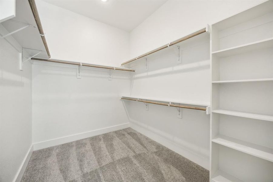 Walk in closet featuring carpet floors