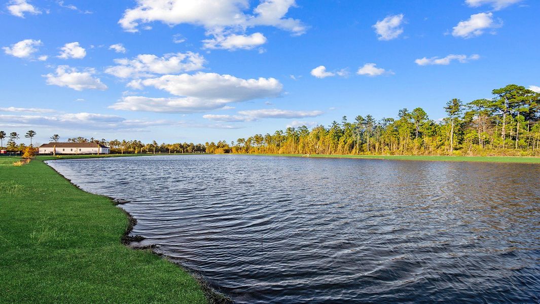 Natural landscape and outdoor views near The Lakes at North Glynn in Brunswick (Image 7).