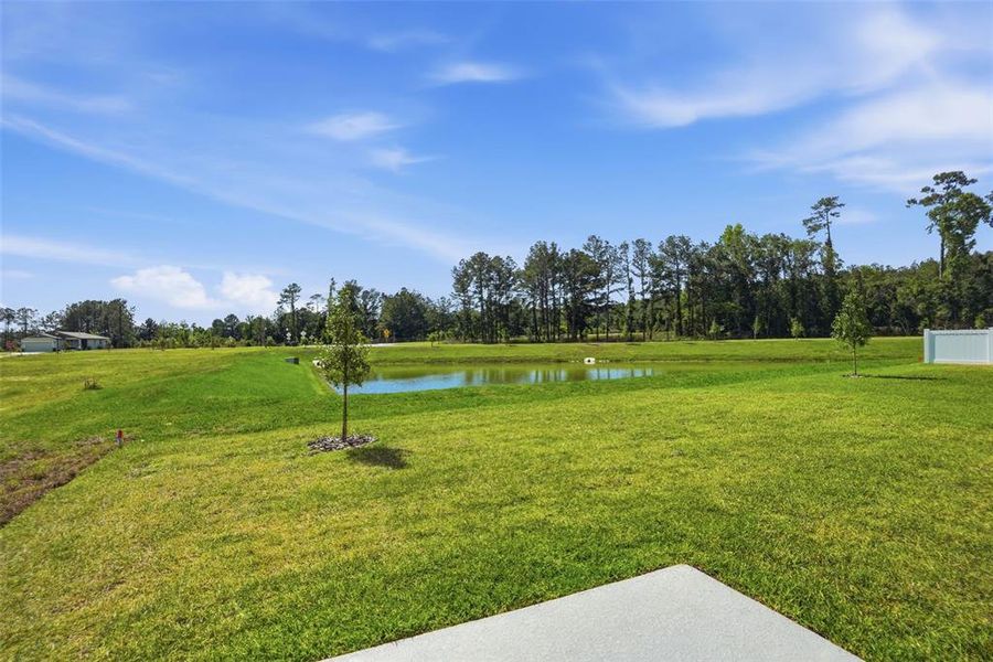 Natural landscape and outdoor views near Leyland Preserve - Premier Series in Brooksville (Image 53).