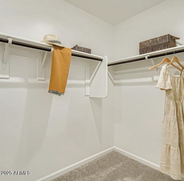 Owners Walk in Closet Owners Walk in Closet