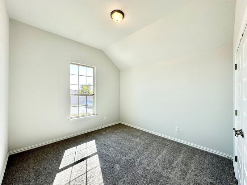 Additional living space featuring lofted ceiling and carpet flooring Additional living space featuring lofted ceiling and carpet flooring