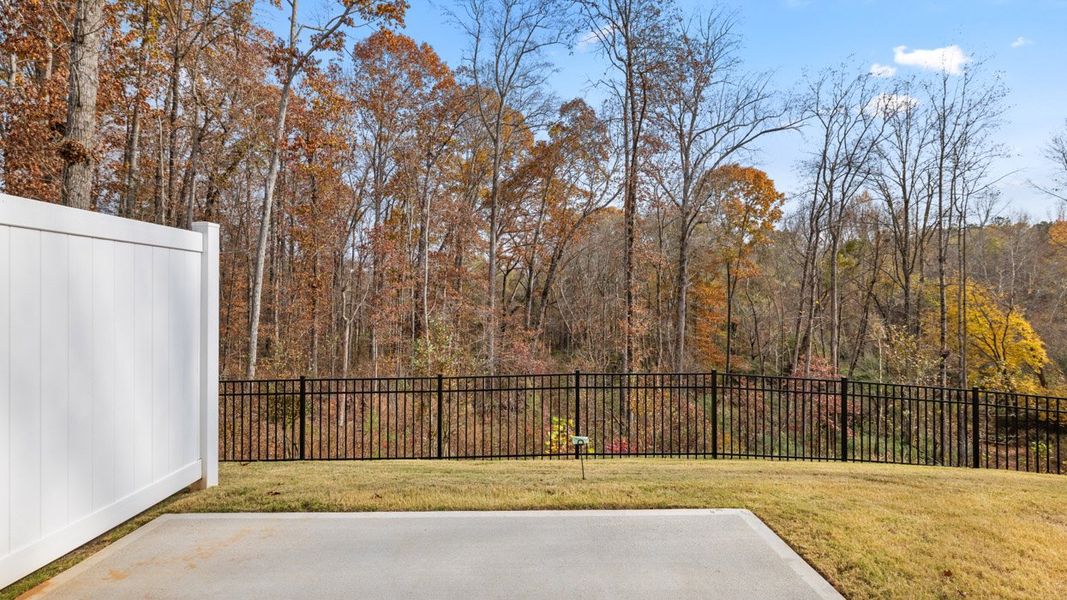 Representative exterior details of a home built from the Stratford by D.R. Horton in Echo Glen, Stockbridge (Image 2).