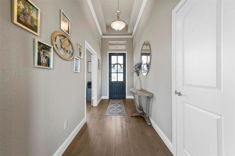 Foyer with dark hardwood / wood-style floors