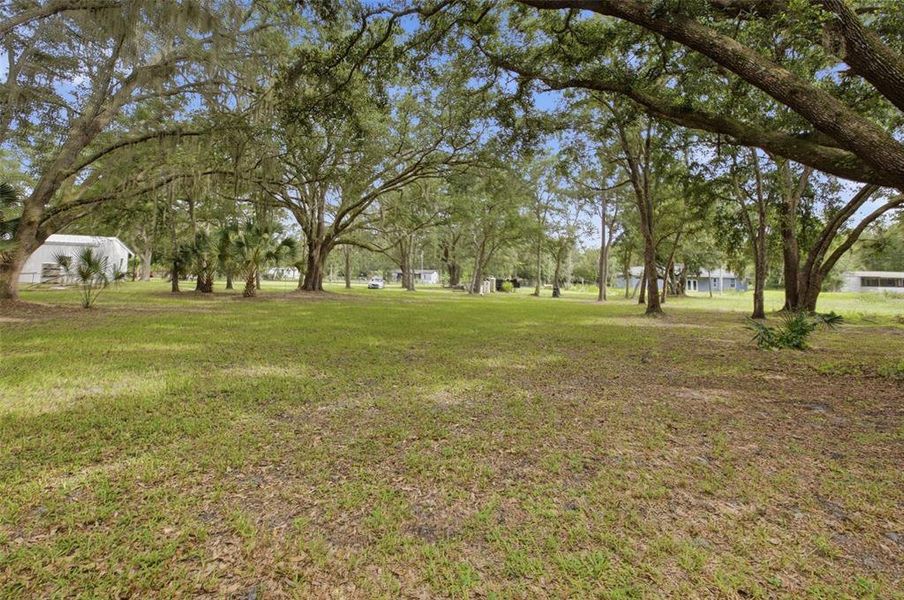 Natural landscape and outdoor views near in Orlando (Image 24). Natural landscape and outdoor views near in Orlando (Image 24).