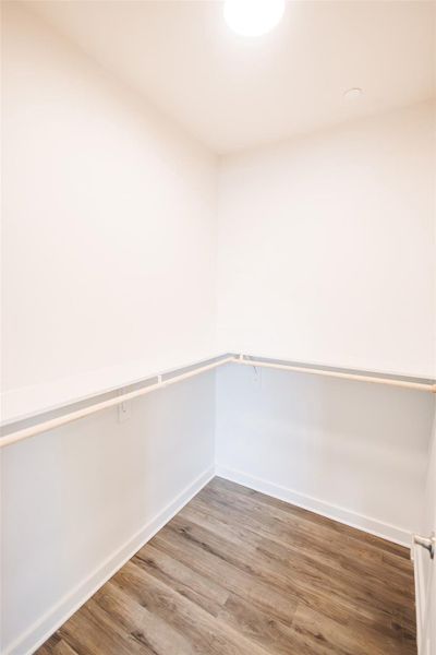 Spacious closet featuring wood finished floors