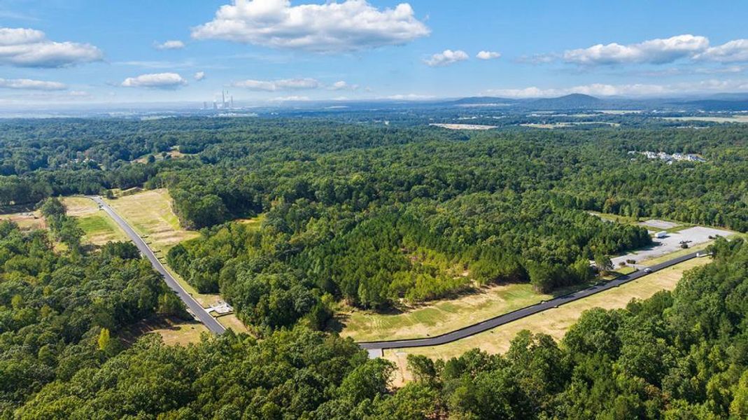 Natural landscape and outdoor views near Parkside at Carter Grove in Cartersville (Image 35).