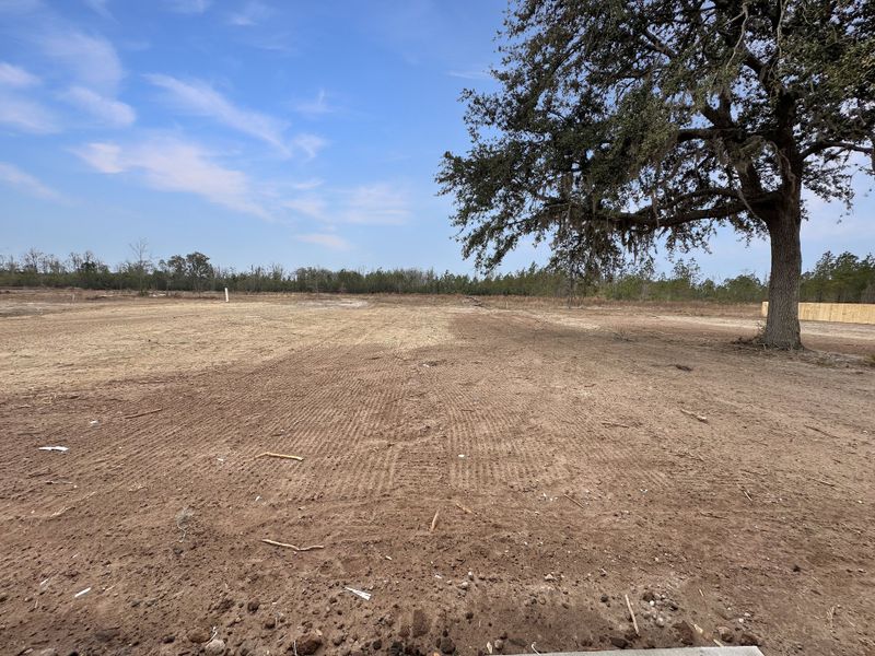Site preparation for new homesites in Tibet Road at Sassafras, Allenhurst (Image 22). Site preparation for new homesites in Tibet Road at Sassafras, Allenhurst (Image 22).