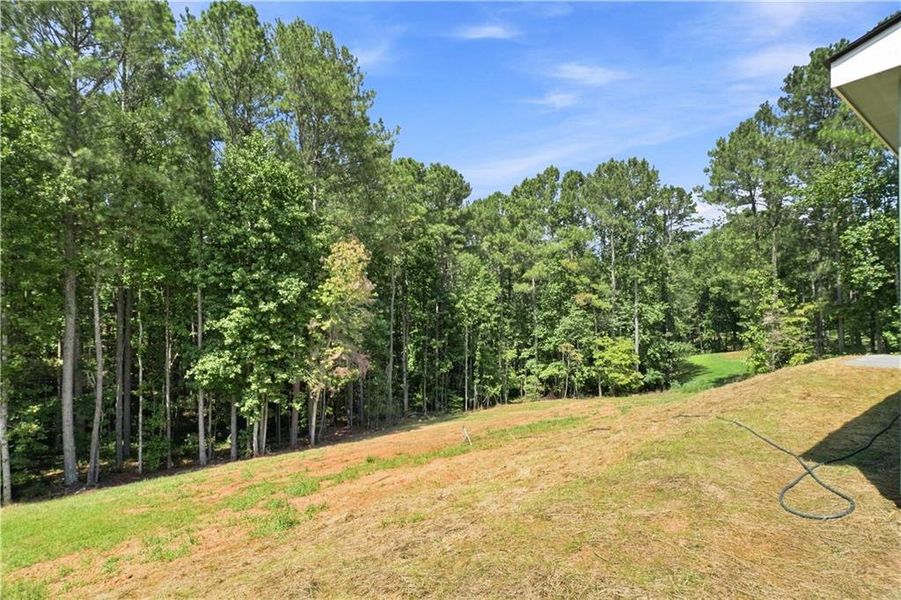 Natural landscape and outdoor views near  in Talking Rock (Image 50).
