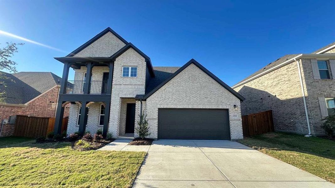 Exterior Design Construction Progress