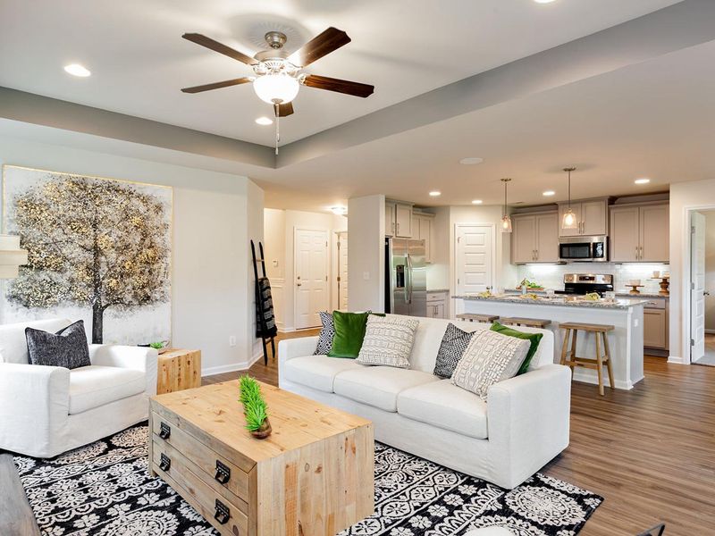 Representative furnished interior of a home built from the The Franklin D by Davidson Homes LLC in Bailey Park, Fayetteville (Image 12).