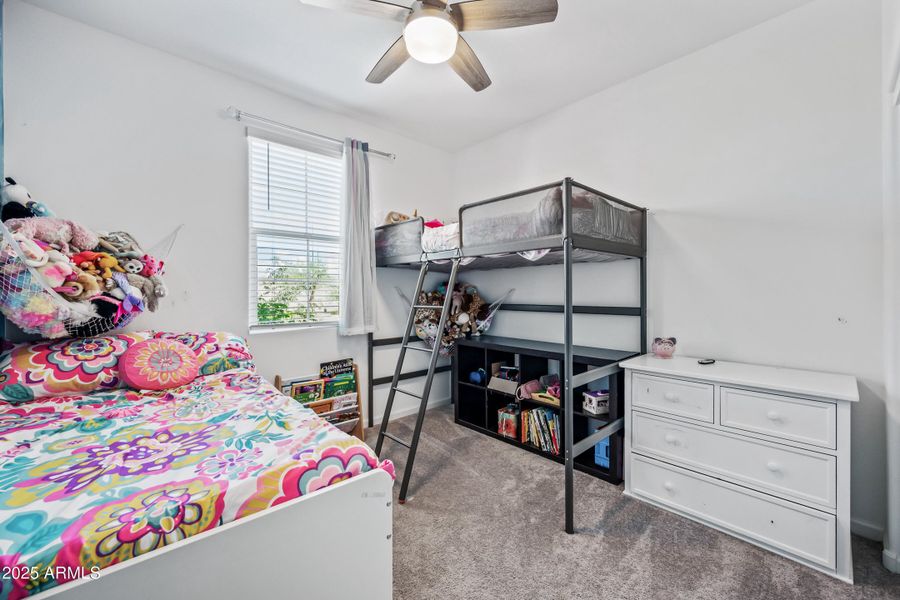 40-3181WCR-ocupix-SEQ 40-3181WCR-ocupix-SEQ