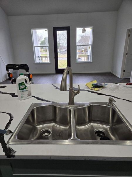 Kitchen details featuring sink