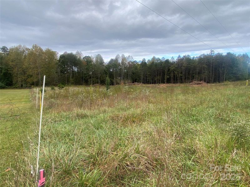 Natural landscape and outdoor views near in Forest City (Image 19). Natural landscape and outdoor views near in Forest City (Image 19).