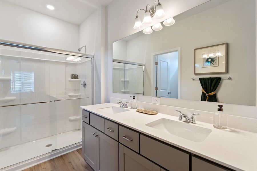 Representative furnished interior of a home built from the Dahlia - Genesis Value Collection by Mungo Homes in Edwards Station, Taylors (Image 7).