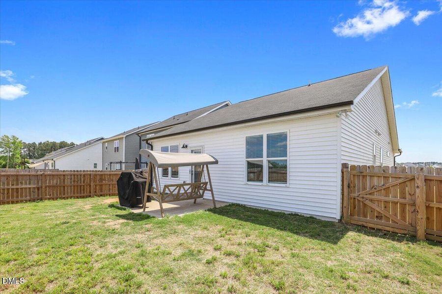 backyard 3