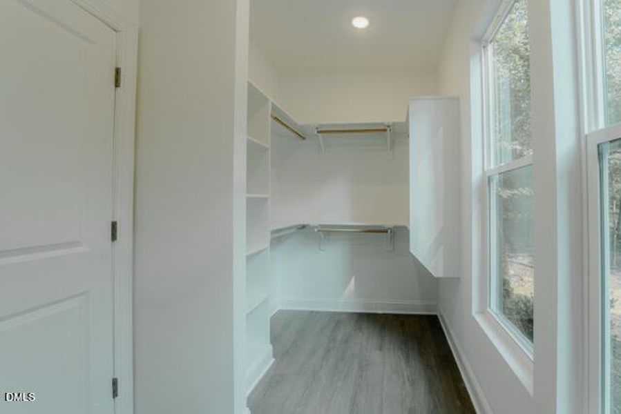 VariformRd web (27) Medium