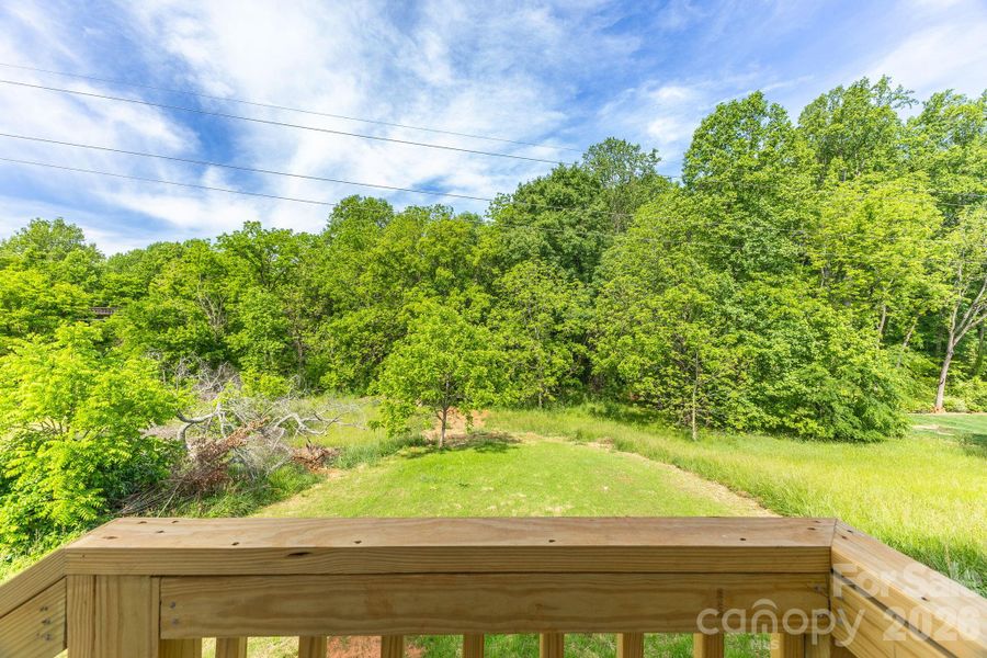 Natural landscape and outdoor views near  in Conover (Image 16).