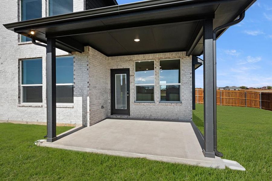 109 Golden Jackal- Back-3 109 Golden Jackal- Back-3