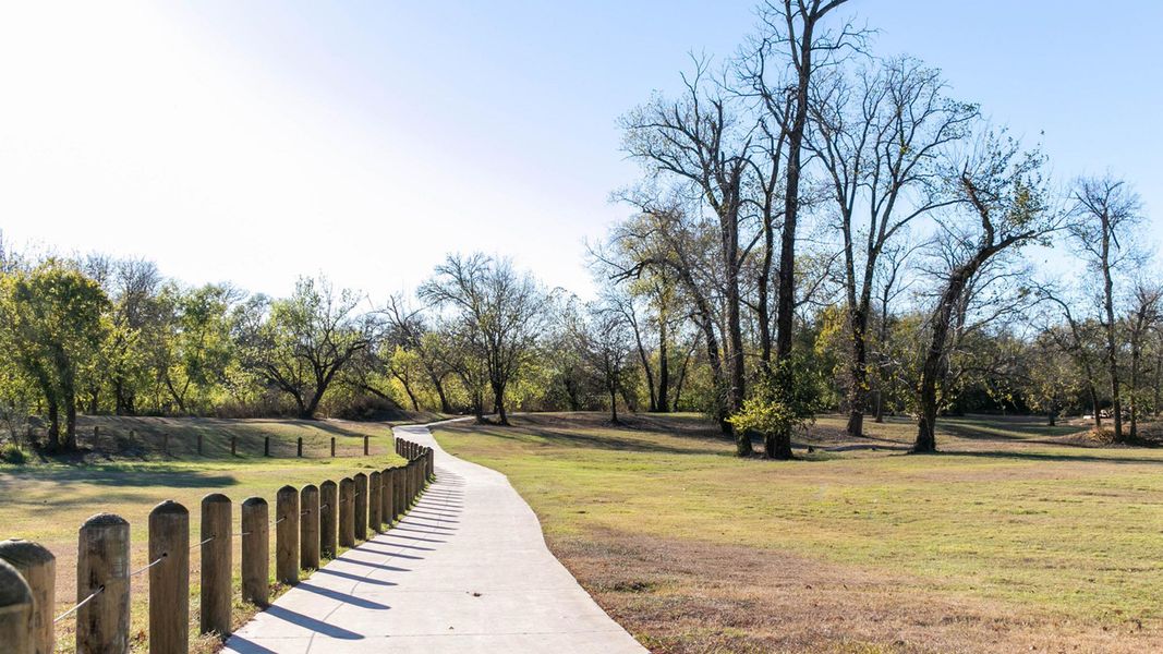 Natural landscape and outdoor views near The Colony 60' in Bastrop (Image 8).