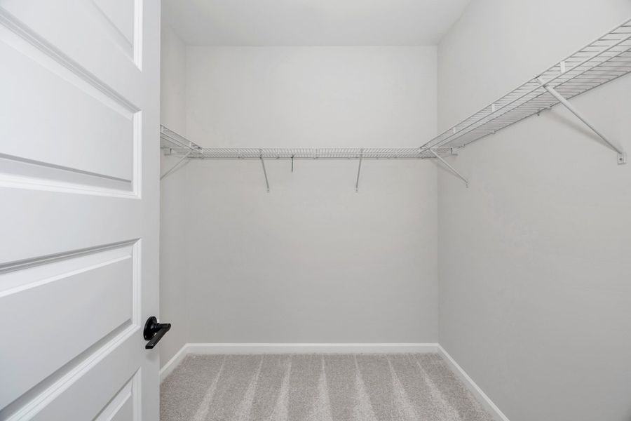 Representative unfurnished interior of a home built from the The Hampton by Smith Douglas Homes in La Segarra, Brookshire (Image 23).