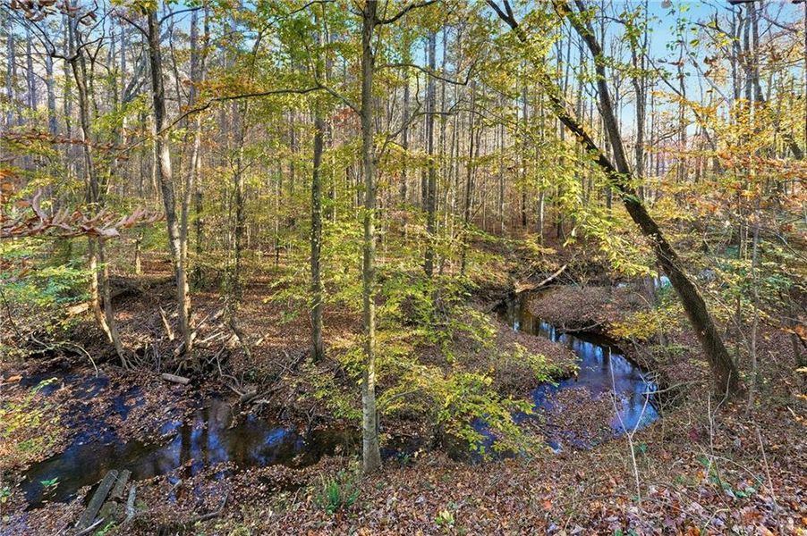 Natural landscape and outdoor views near in Jasper (Image 34). Natural landscape and outdoor views near in Jasper (Image 34).