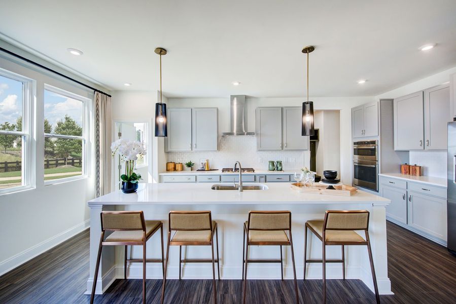 Furnished interior view inside a new home in Williams Grove, Apex (Image 6).