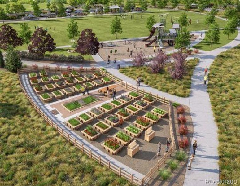 Parterre Community Renderings