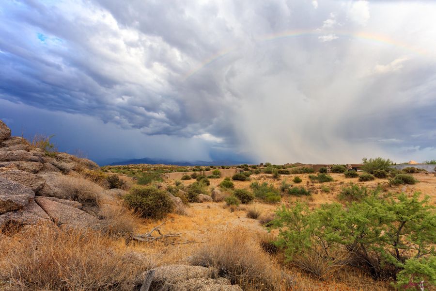 Cantabrica Lot 1 Cantabrica Lot 1