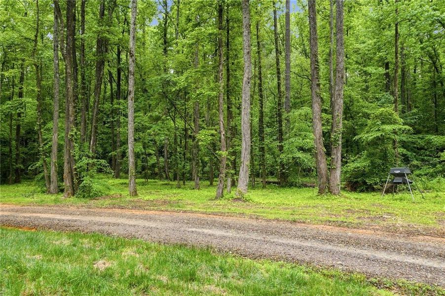 Natural landscape and outdoor views near  in Ball Ground (Image 41).