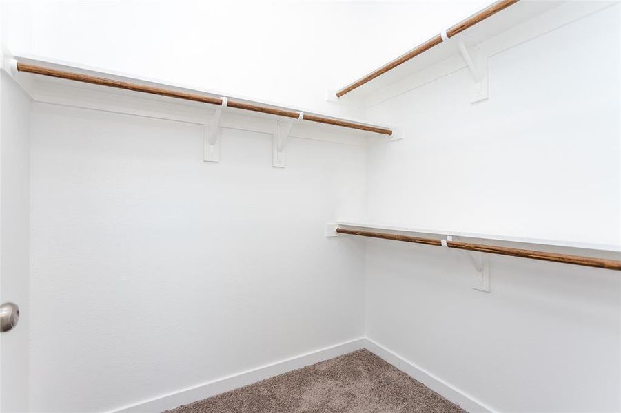 Spacious closet with carpet floors