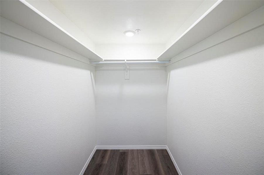 Spacious closet with dark wood-like flooring