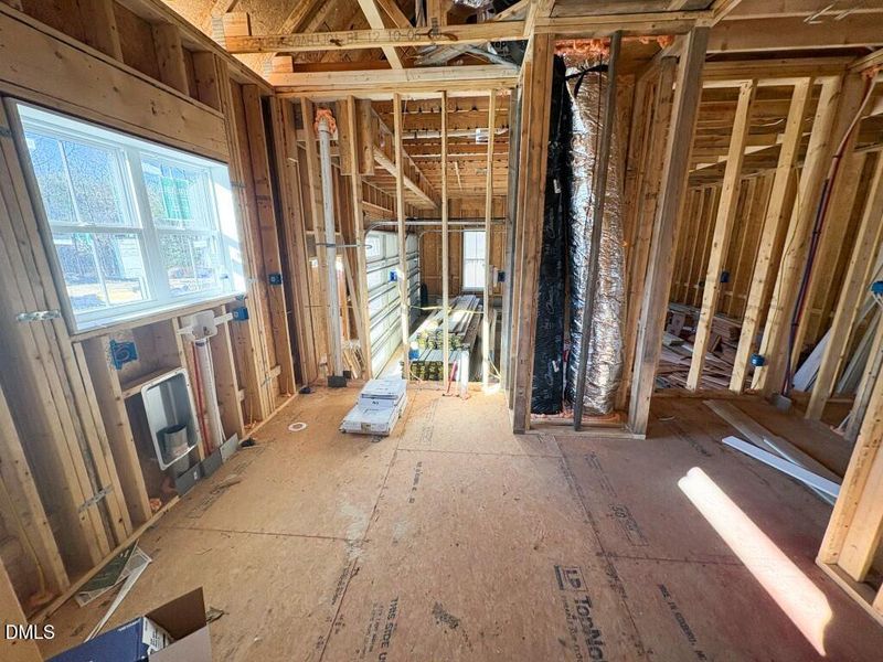 Photo Jan 19 2026, 9 59 03 AM (Medium)