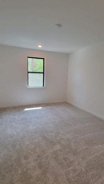 Secondary Bedroom.