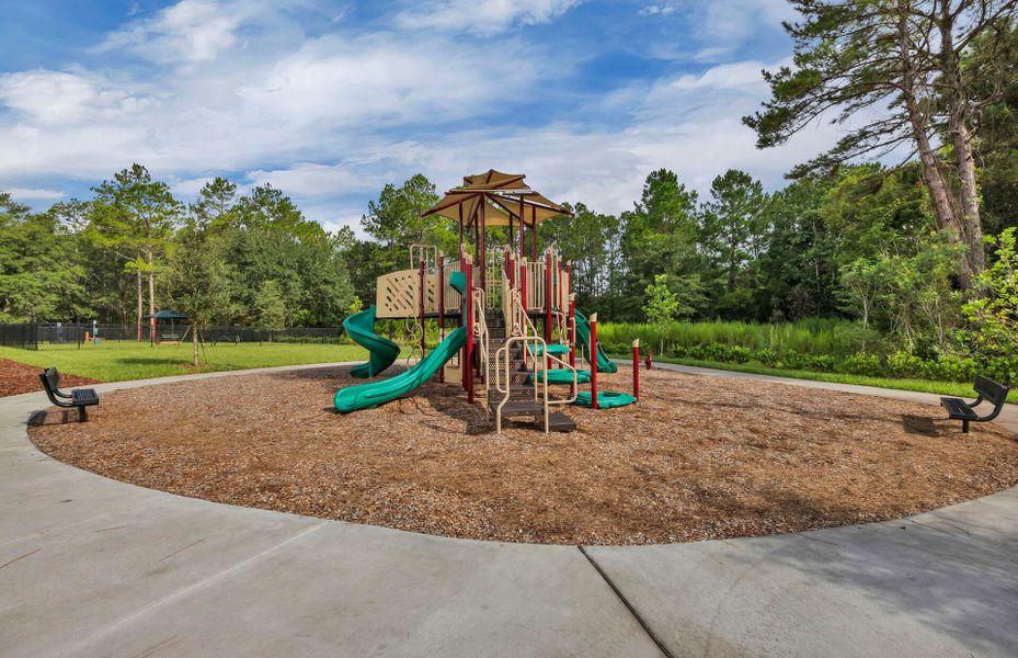Community amenities in Double Branch, Middleburg (Image 23).