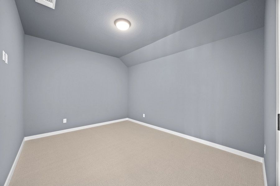 Entertainment Room
