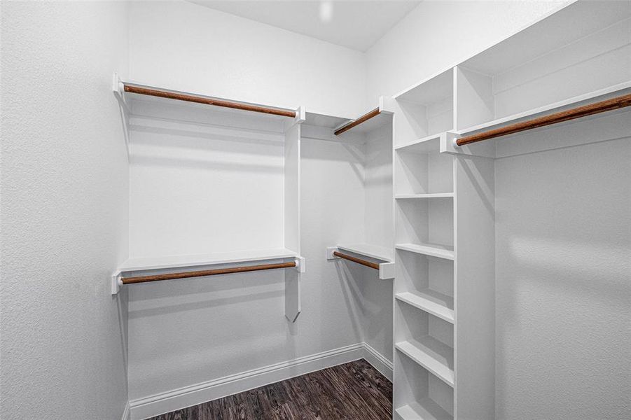 Walk in closet featuring dark wood-type flooring