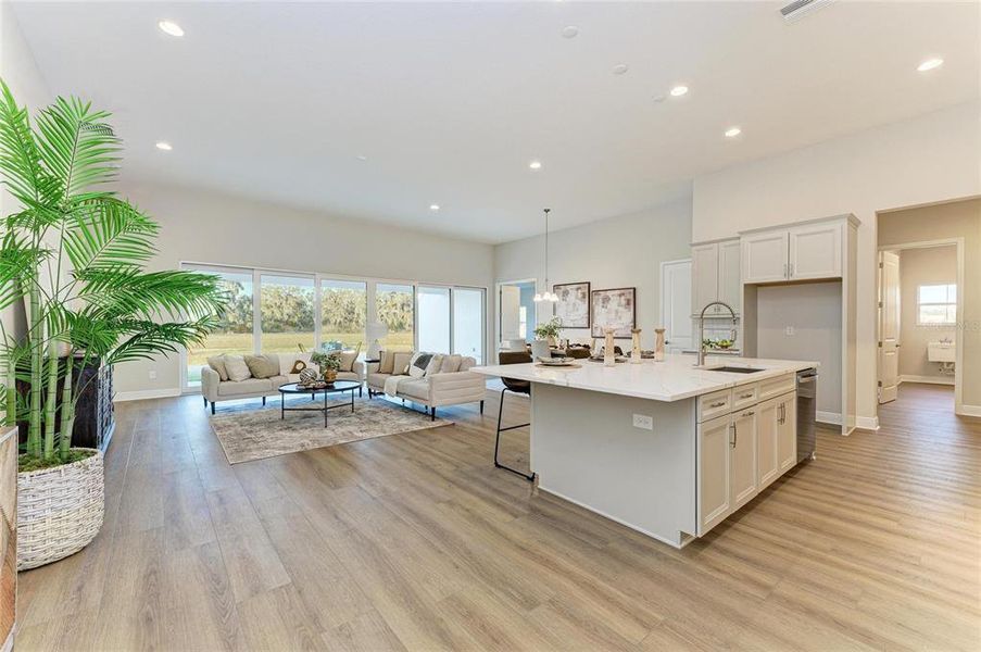 Furnished interior view inside a new home in Triple Creek, Riverview (Image 12). Furnished interior view inside a new home in Triple Creek, Riverview (Image 12).