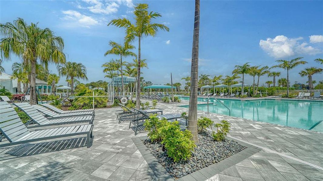 Community amenities in , Sarasota (Image 59).