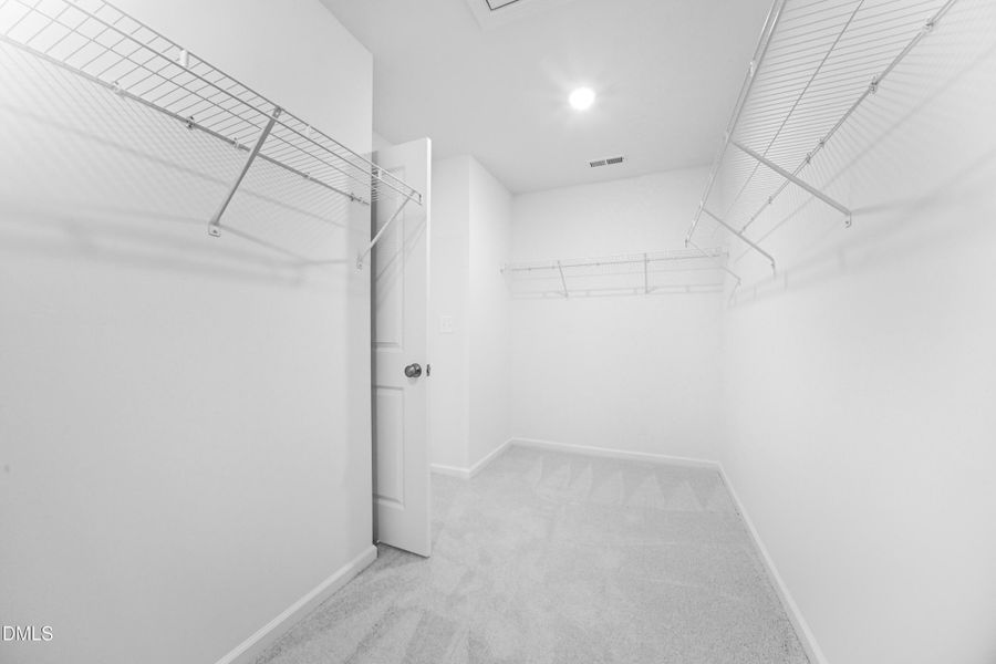 SUN_Everlee_Pic_CarsonII_QMI_229_Owners_