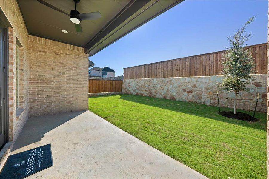 Fenced backyard with a patio area and a ceiling fan Fenced backyard with a patio area and a ceiling fan
