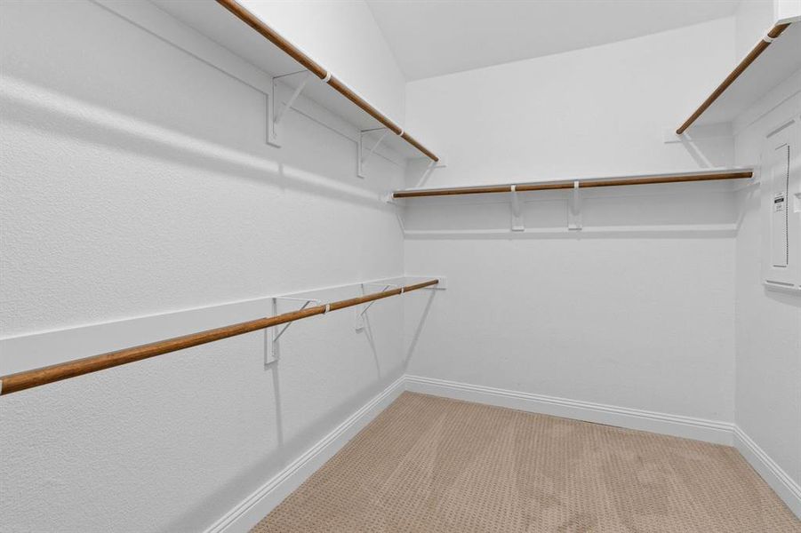 DAL_Painted Tree_Mineola_3917 Cathedral Lane (28)