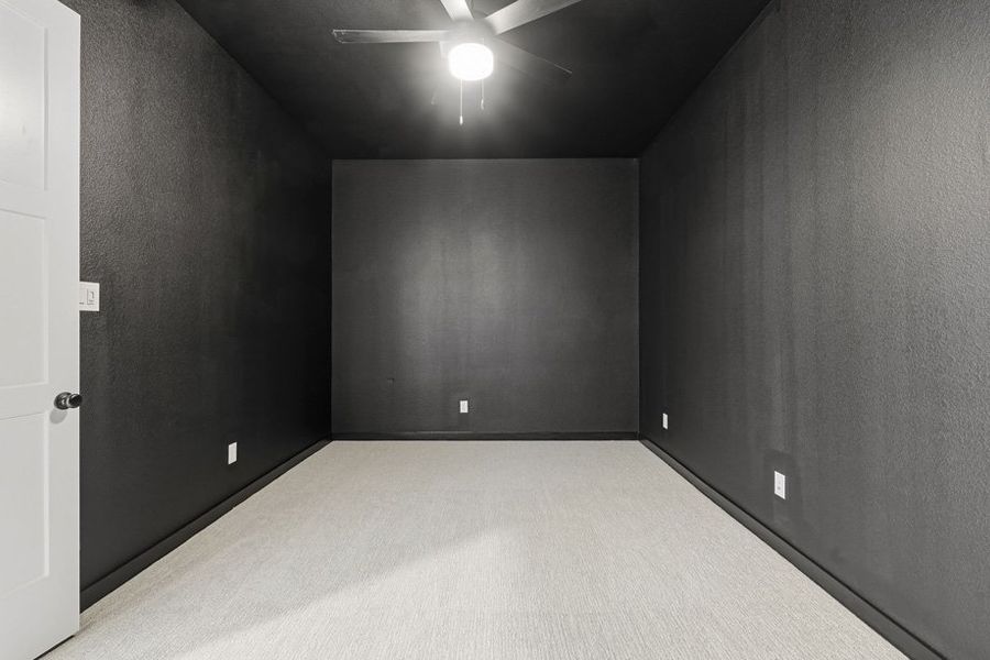 Entertainment Room