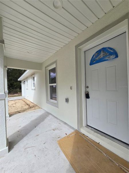 Exterior details and patio area of a home in , Ocklawaha (Image 25).
