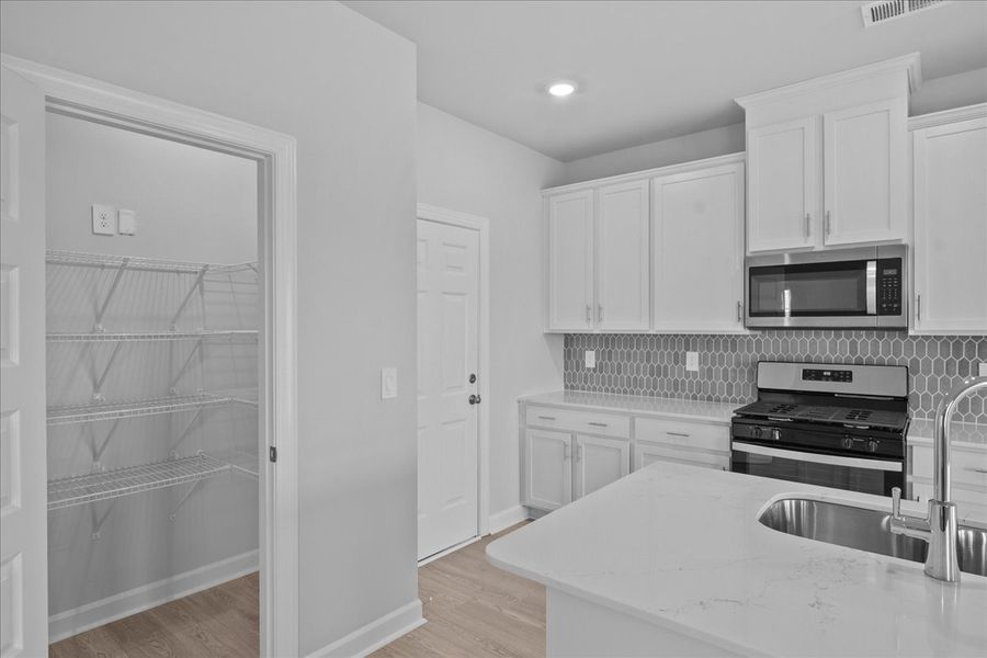 Furnished interior view inside a new home in Cedar Shoals – Heritage Collection, Piedmont (Image 7).