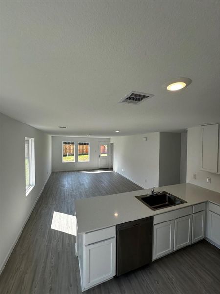 Pics are not of actual home. They are a representative of a home of the same floor plan Pics are not of actual home. They are a representative of a home of the same floor plan