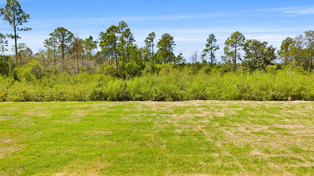 Natural landscape and outdoor views near Breakfast Point East Phase II in Panama City Beach (Image 35).